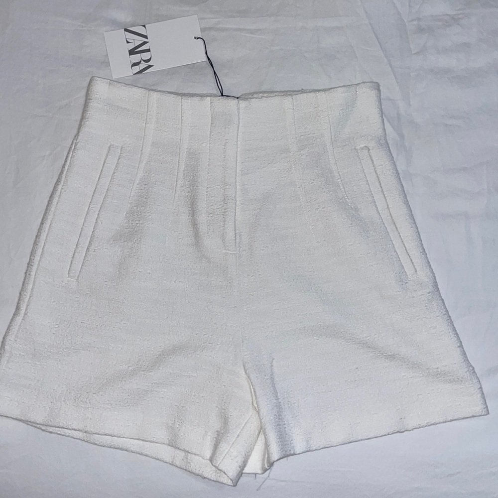 Pleated Zara Shorts
